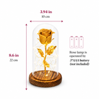 Twinkle Rose 24K Gold Foil Perfect Gift