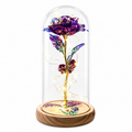 Galaxy Rose Hologram Elegant Gift