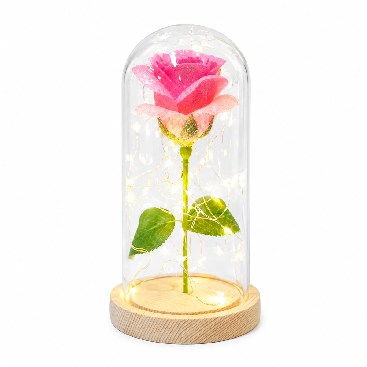 Beautiful Rose Full Bloom Light