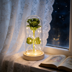 Beautiful Rose Full Bloom Light