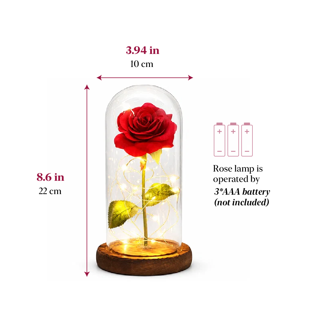 Beautiful Rose Full Bloom Light