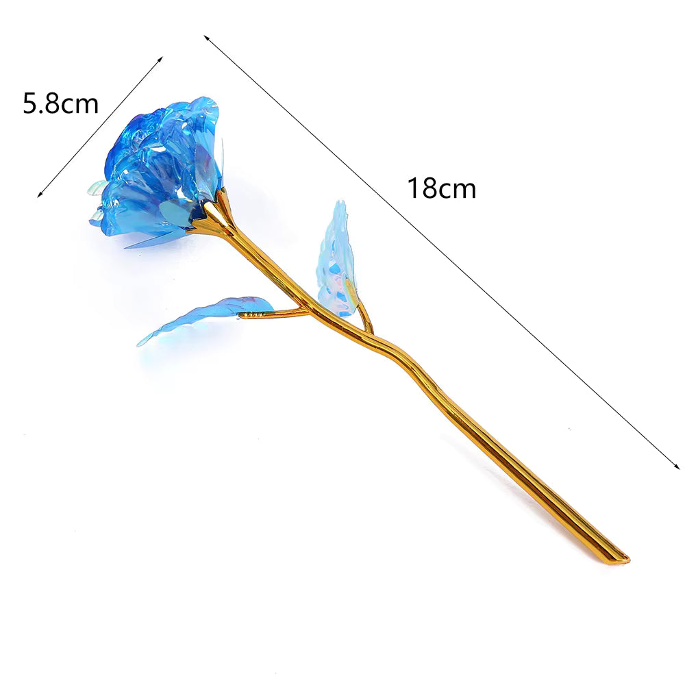 Galaxy Forever Rose 24K Gold Foil