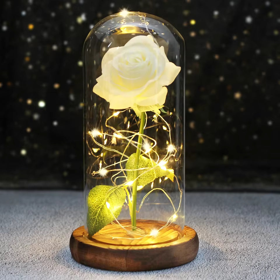 Enchanted Rose - Full Bloom