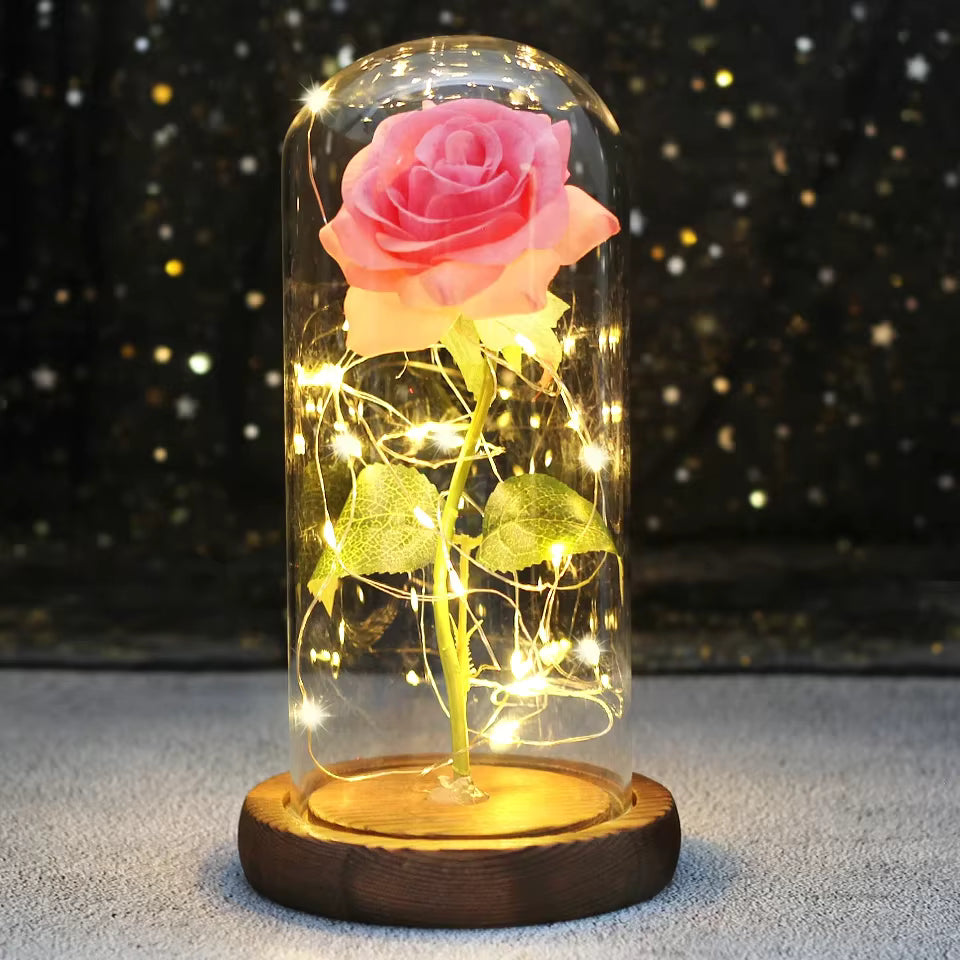 Enchanted Rose - Full Bloom