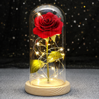 Enchanted Rose - Full Bloom
