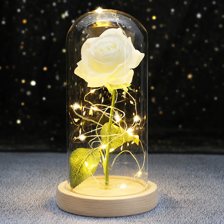 Enchanted Rose - Full Bloom