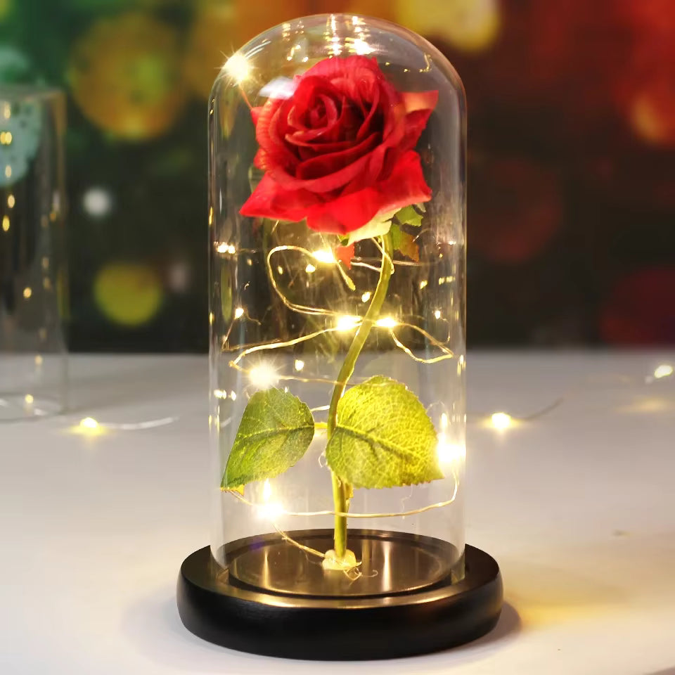 Enchanted Rose - Full Bloom