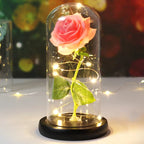 Enchanted Rose - Full Bloom