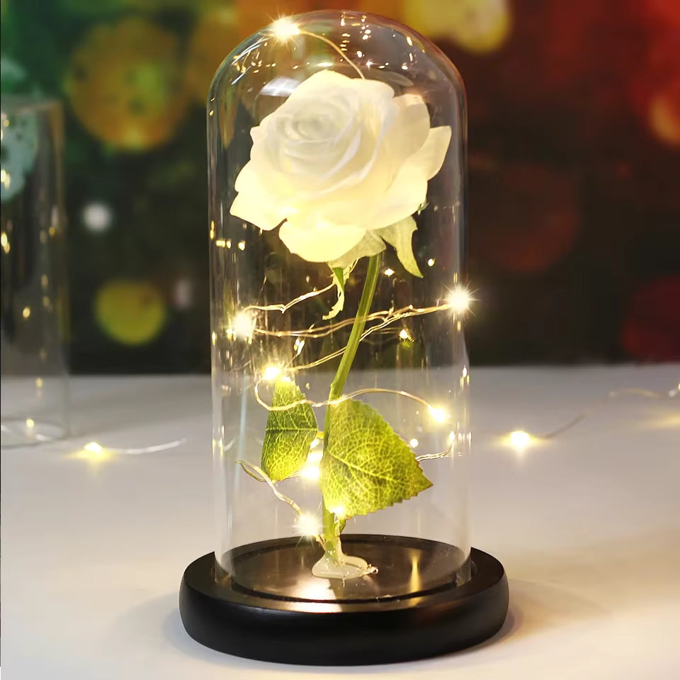 Enchanted Rose - Full Bloom