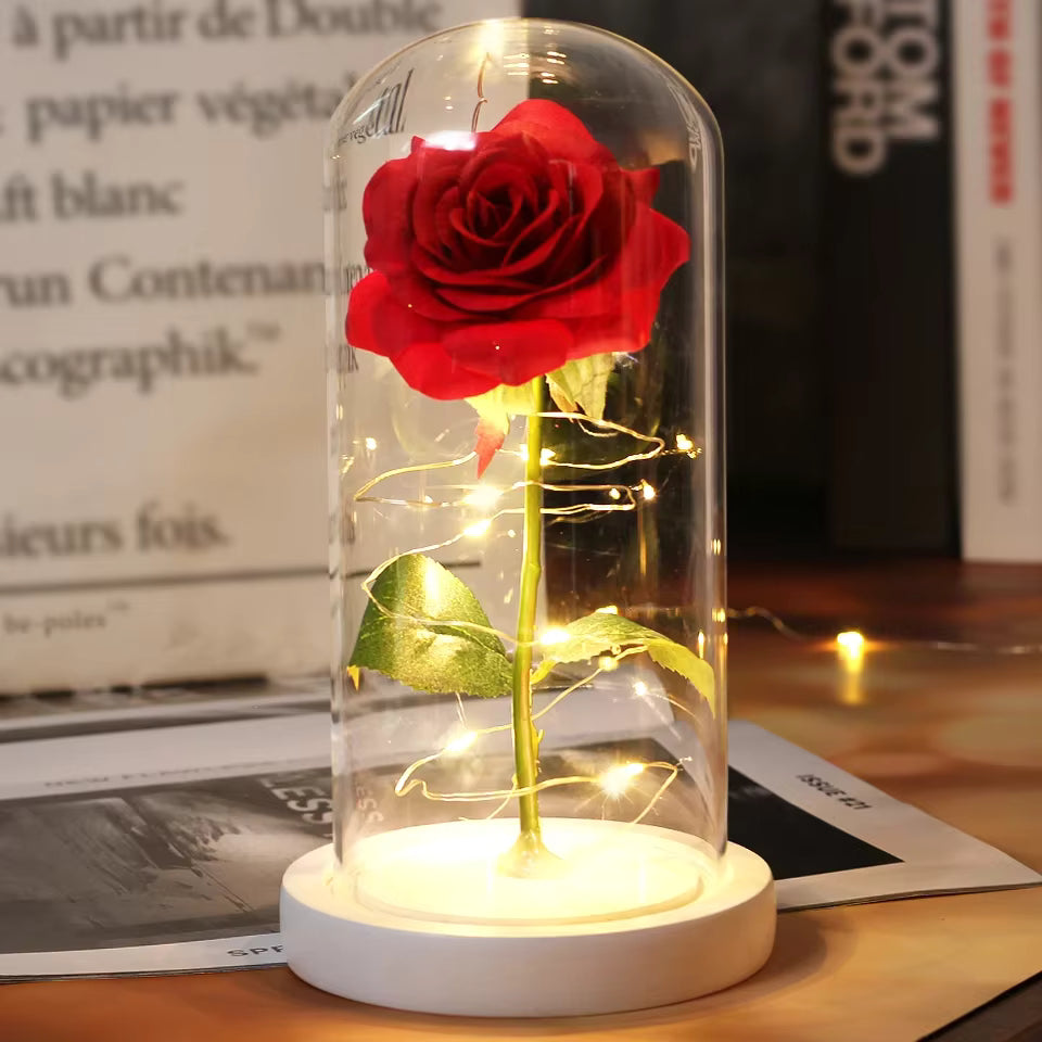 Enchanted Rose - Full Bloom
