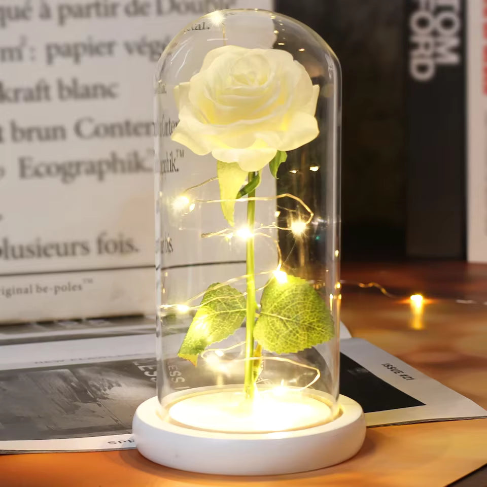 Enchanted Rose - Full Bloom
