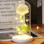 Enchanted Rose - Full Bloom