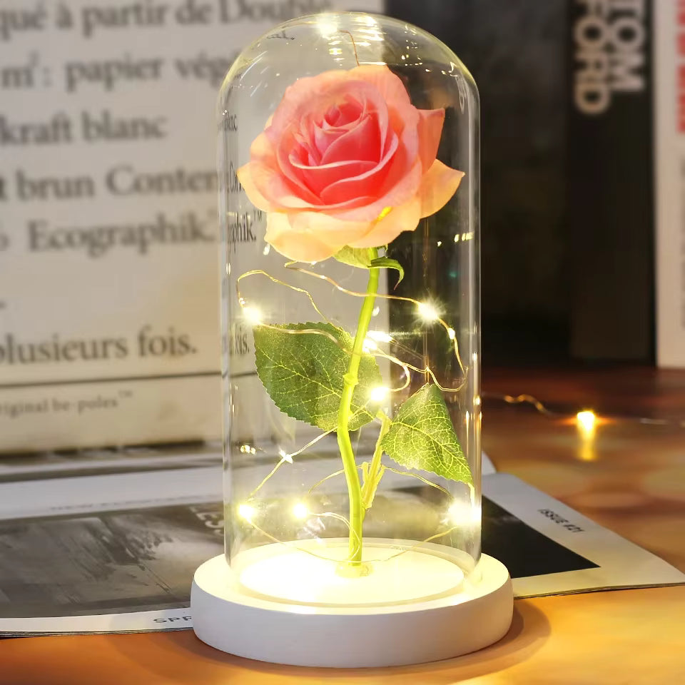 Enchanted Rose - Full Bloom