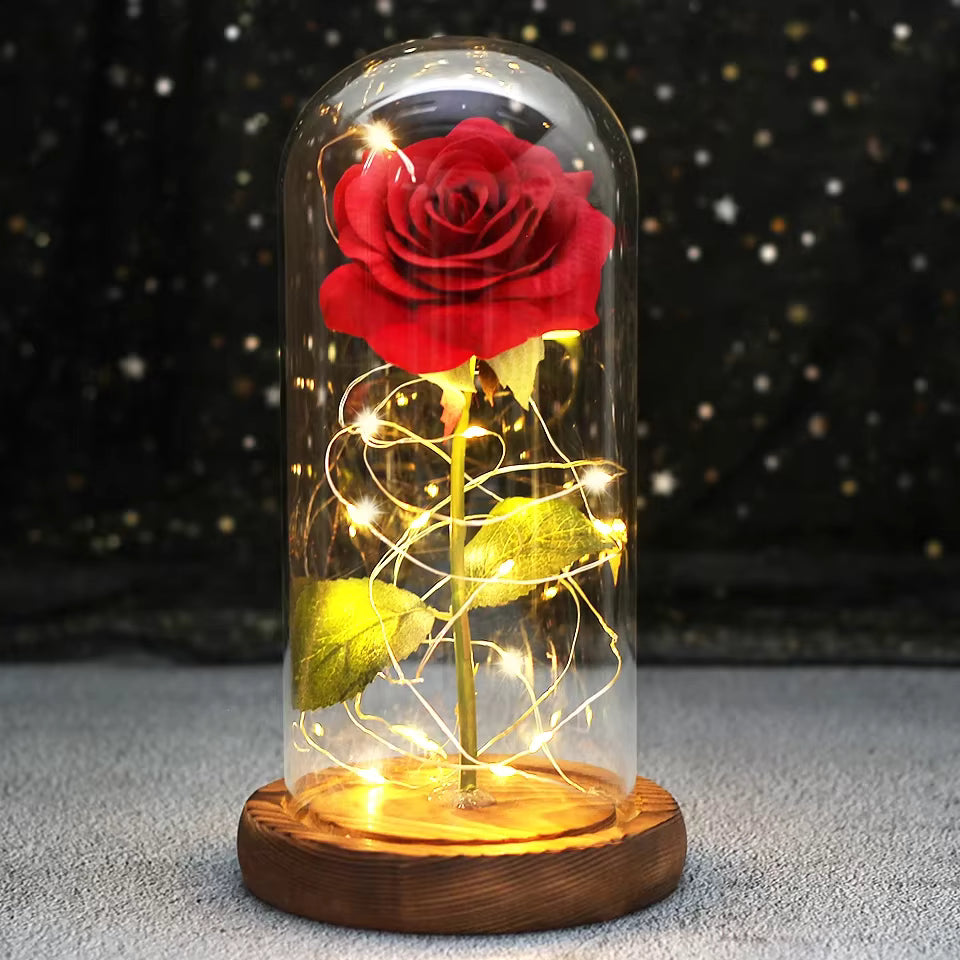 Beautiful Rose Full Bloom Light