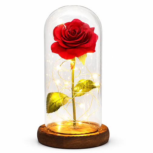 Enchanted Rose - Full Bloom